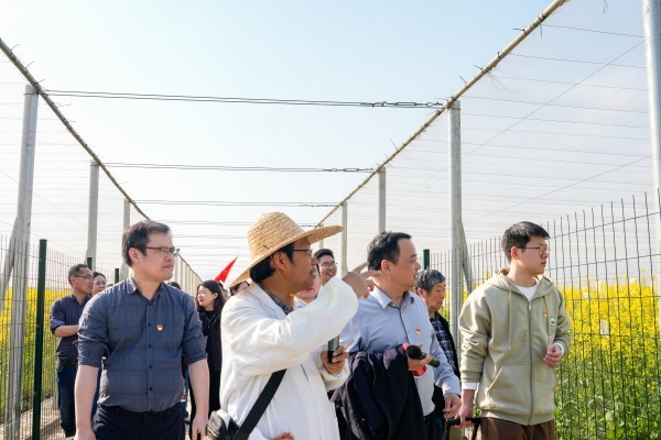 bevictor伟德官网