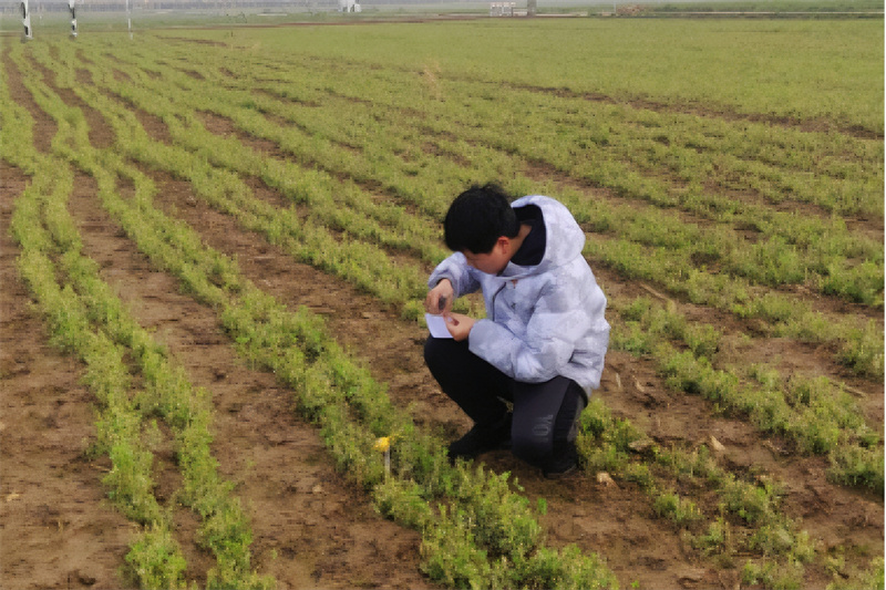 W020240313019457648379.jpg bevictor伟德官网