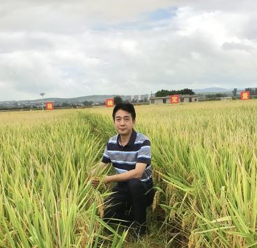 bevictor伟德官网