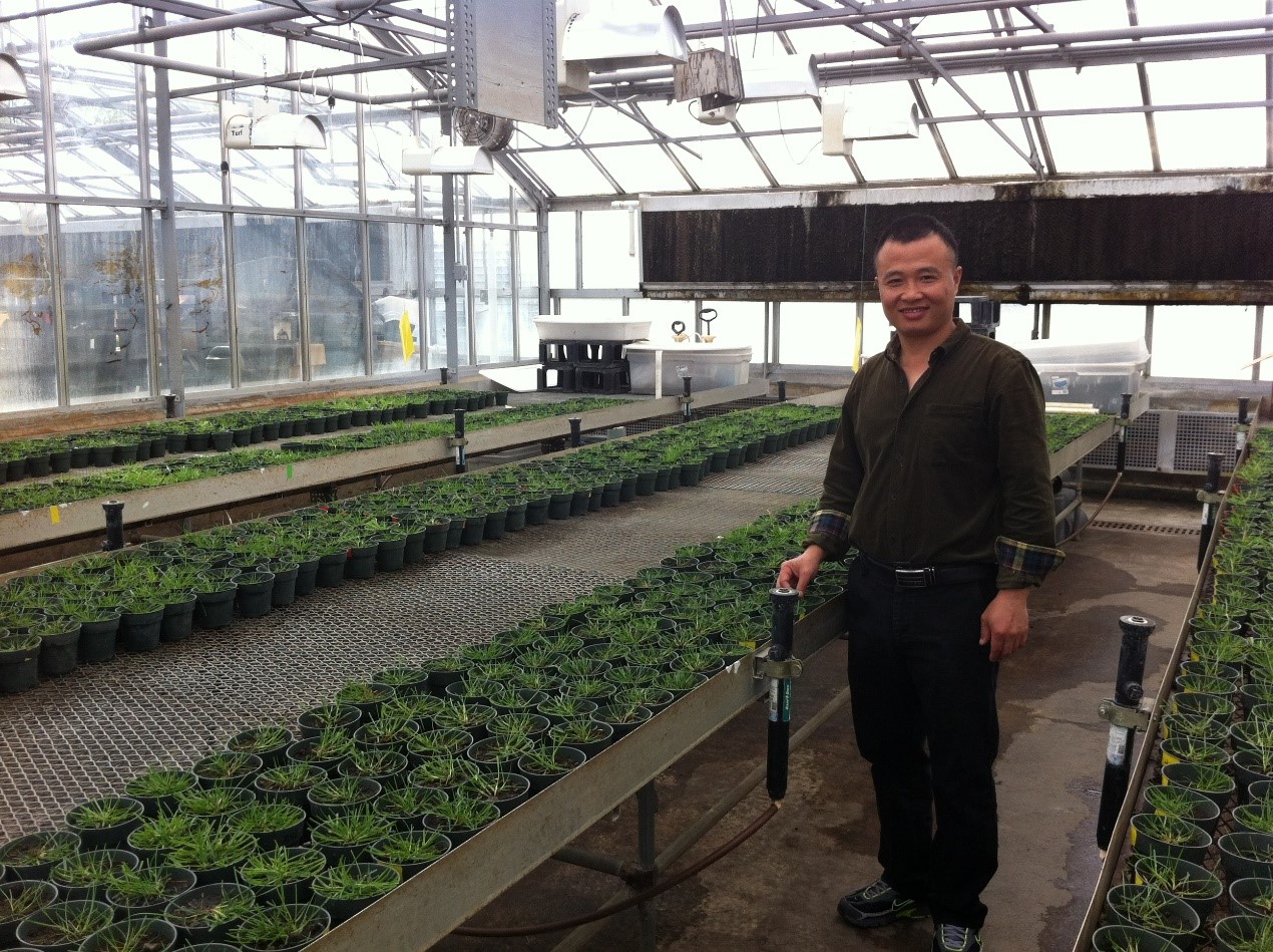 bevictor伟德官网