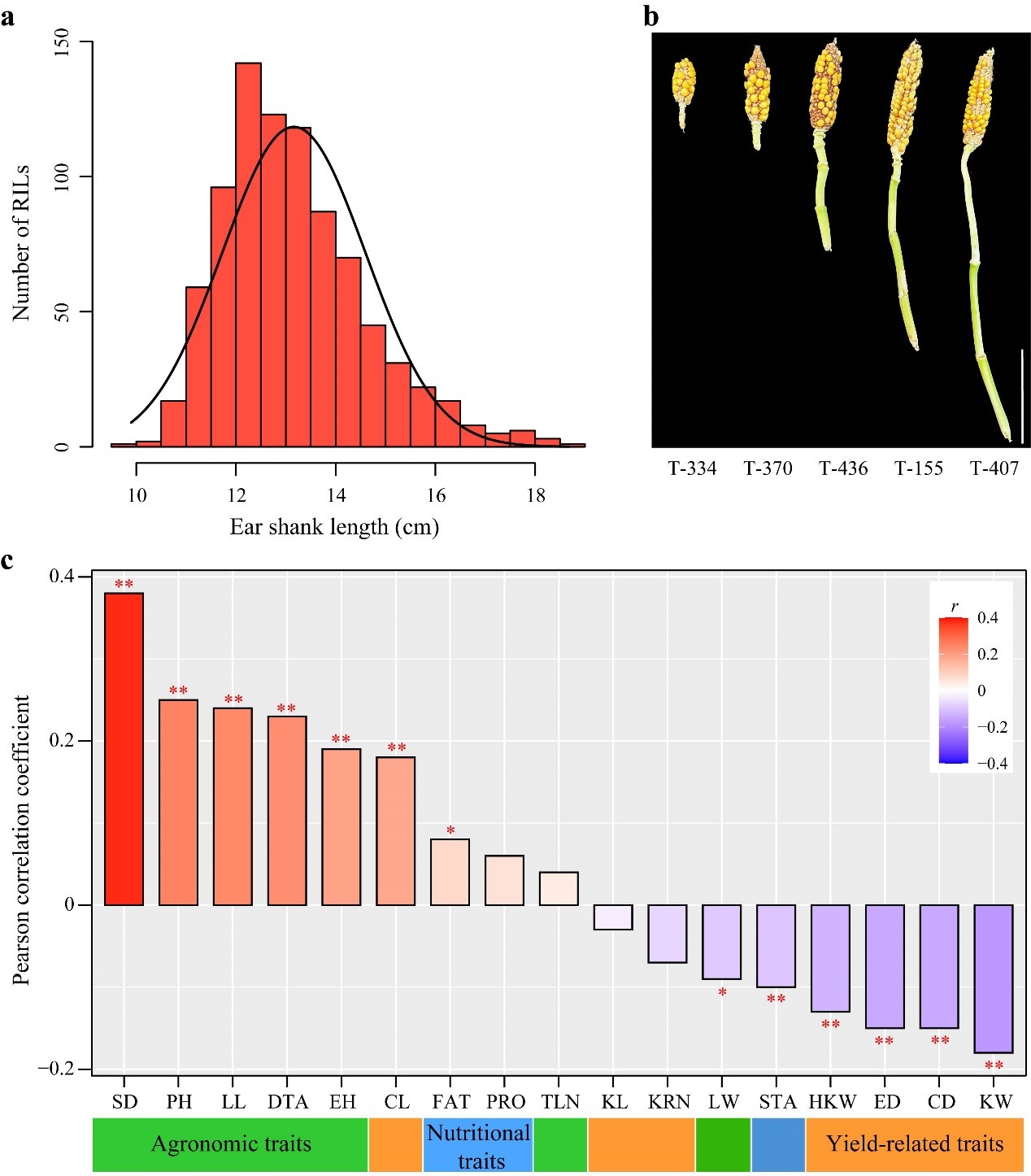 2.jpg bevictor伟德官网