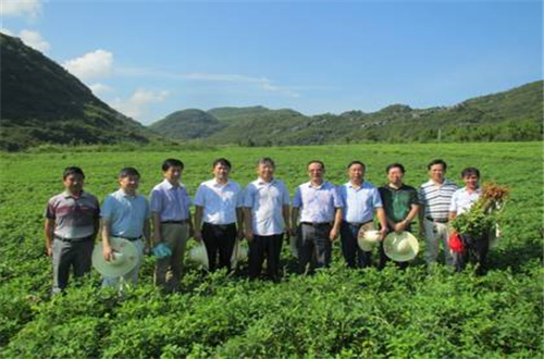 bevictor伟德官网