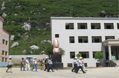 bevictor伟德官网