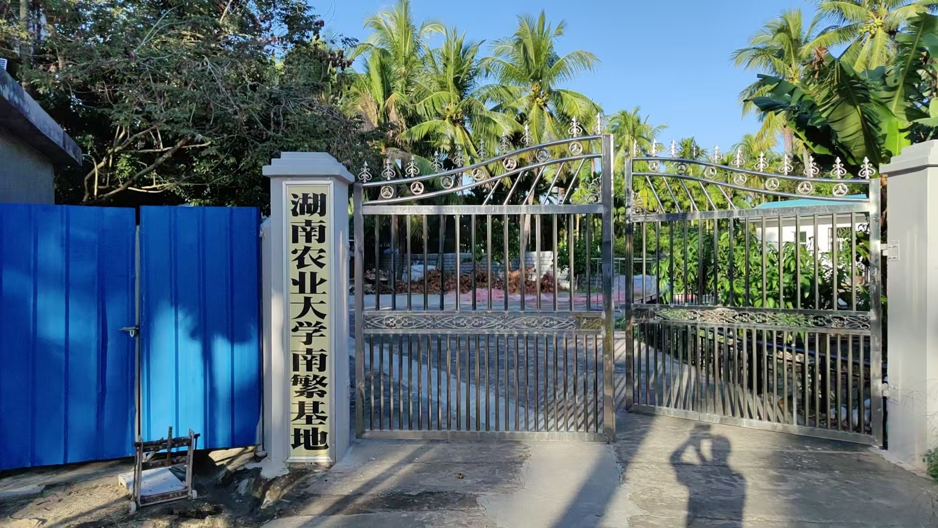 bevictor伟德官网