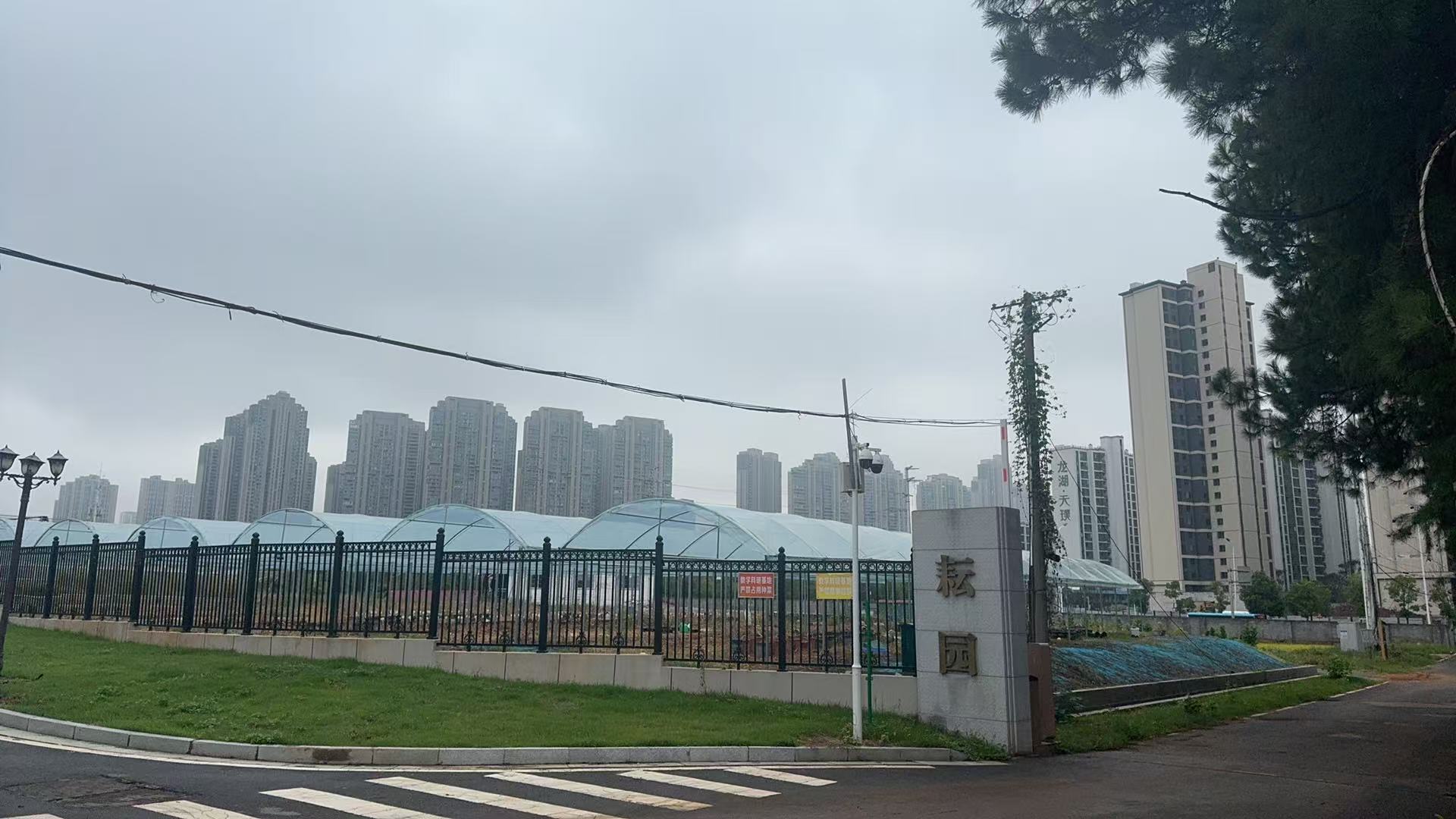 bevictor伟德官网