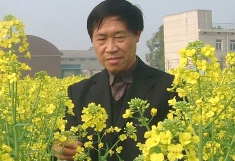 bevictor伟德官网