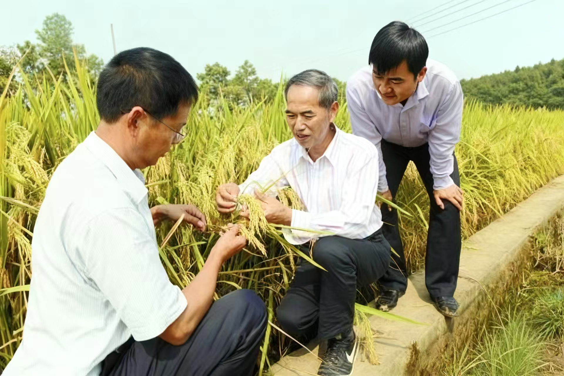 图片2.png bevictor伟德官网