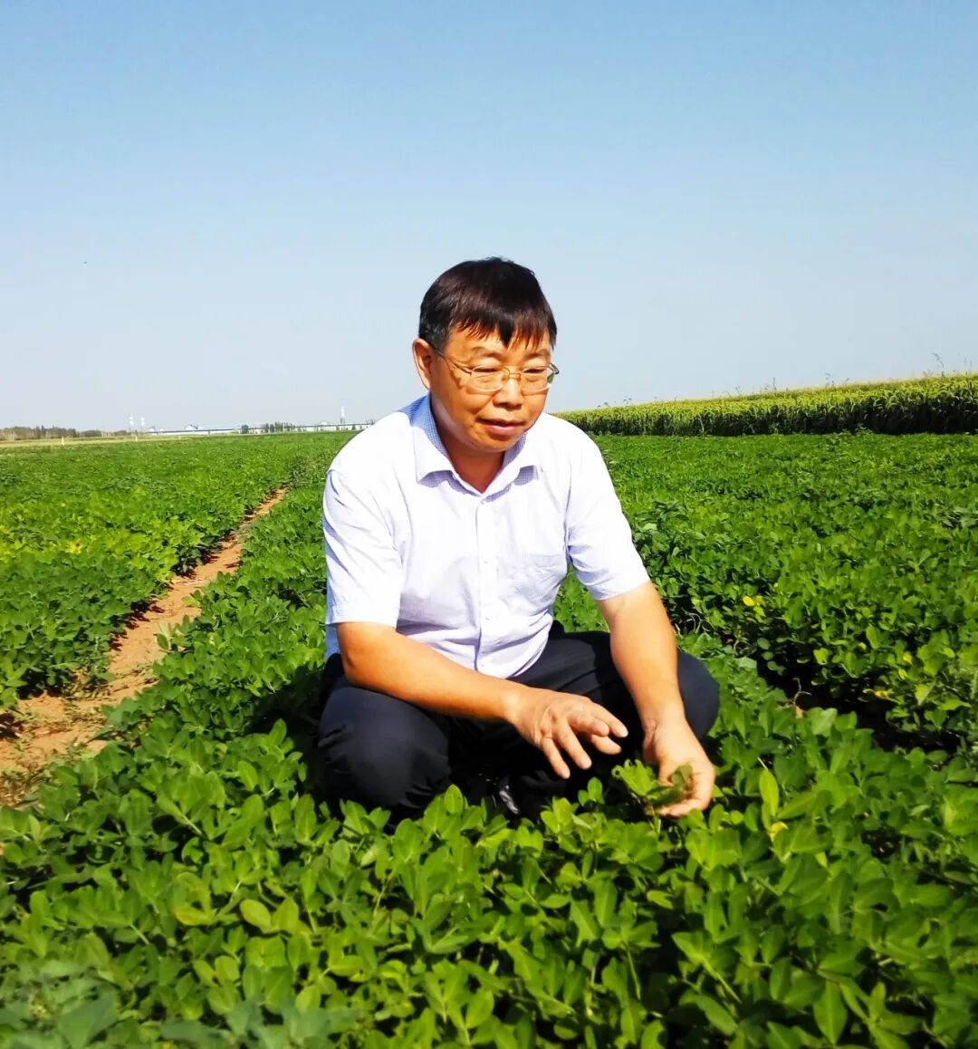 bevictor伟德官网