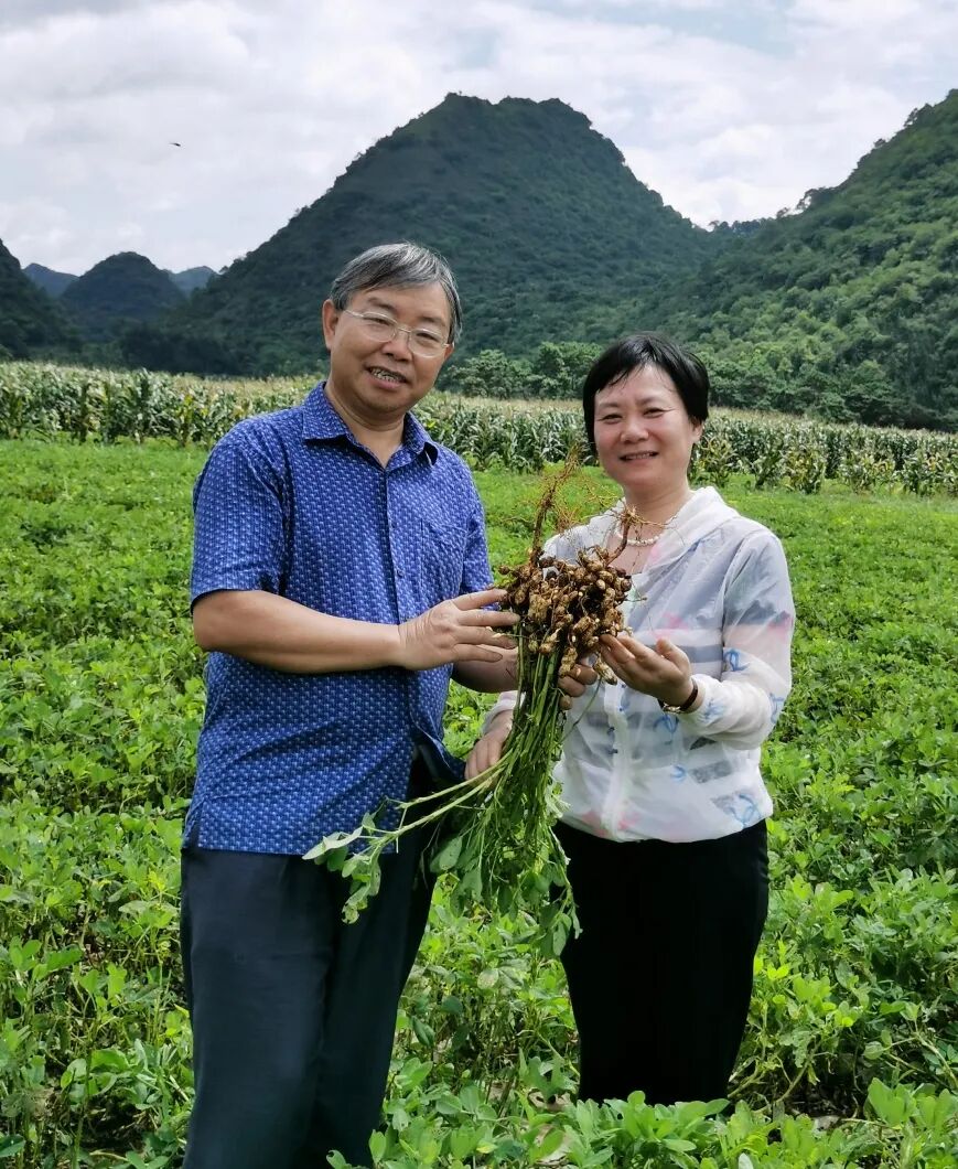 bevictor伟德官网