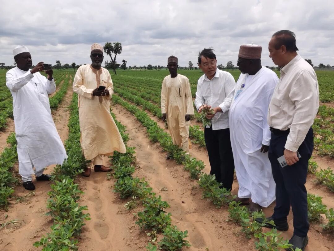 bevictor伟德官网