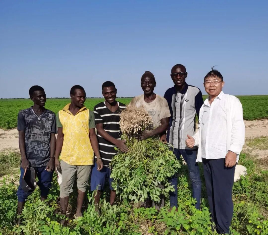 bevictor伟德官网