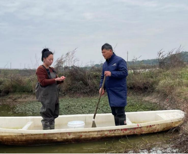 图片8.png bevictor伟德官网