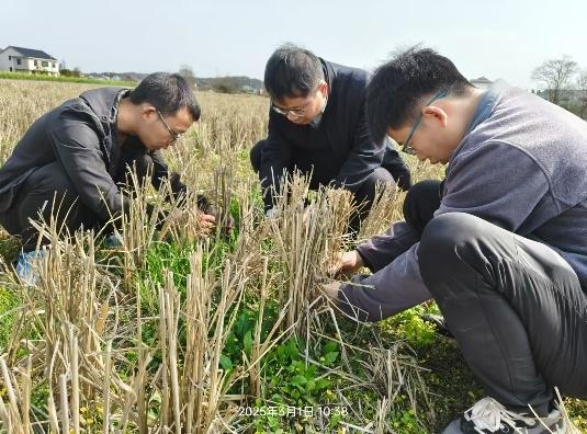 mmexport1764724187164.jpg bevictor伟德官网