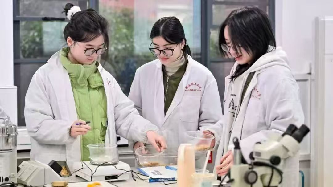 59cc21ec8efced14169bbf27e6b95380.jpg bevictor伟德官网