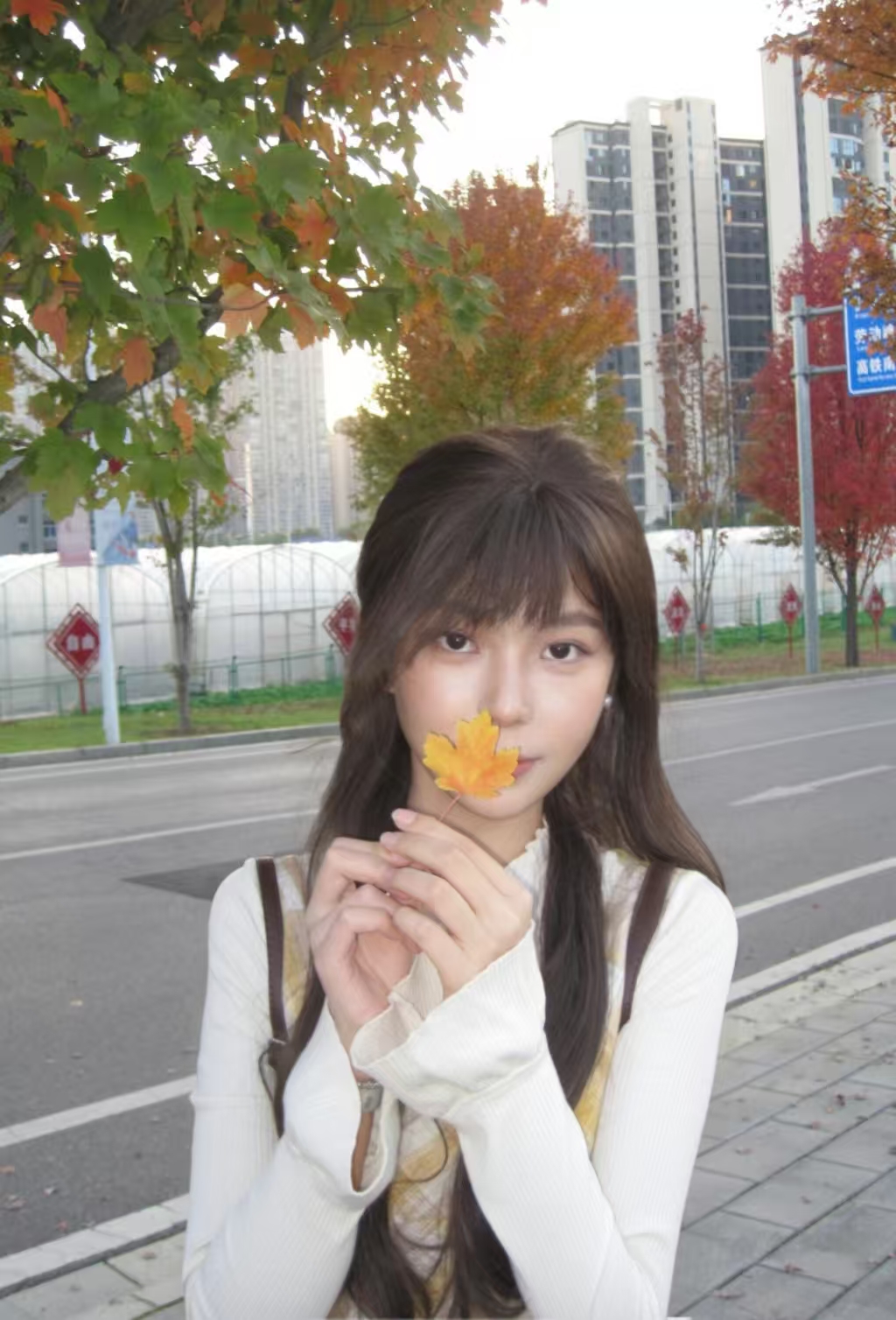 微信图片_20260320152533_597_144.jpg bevictor伟德官网