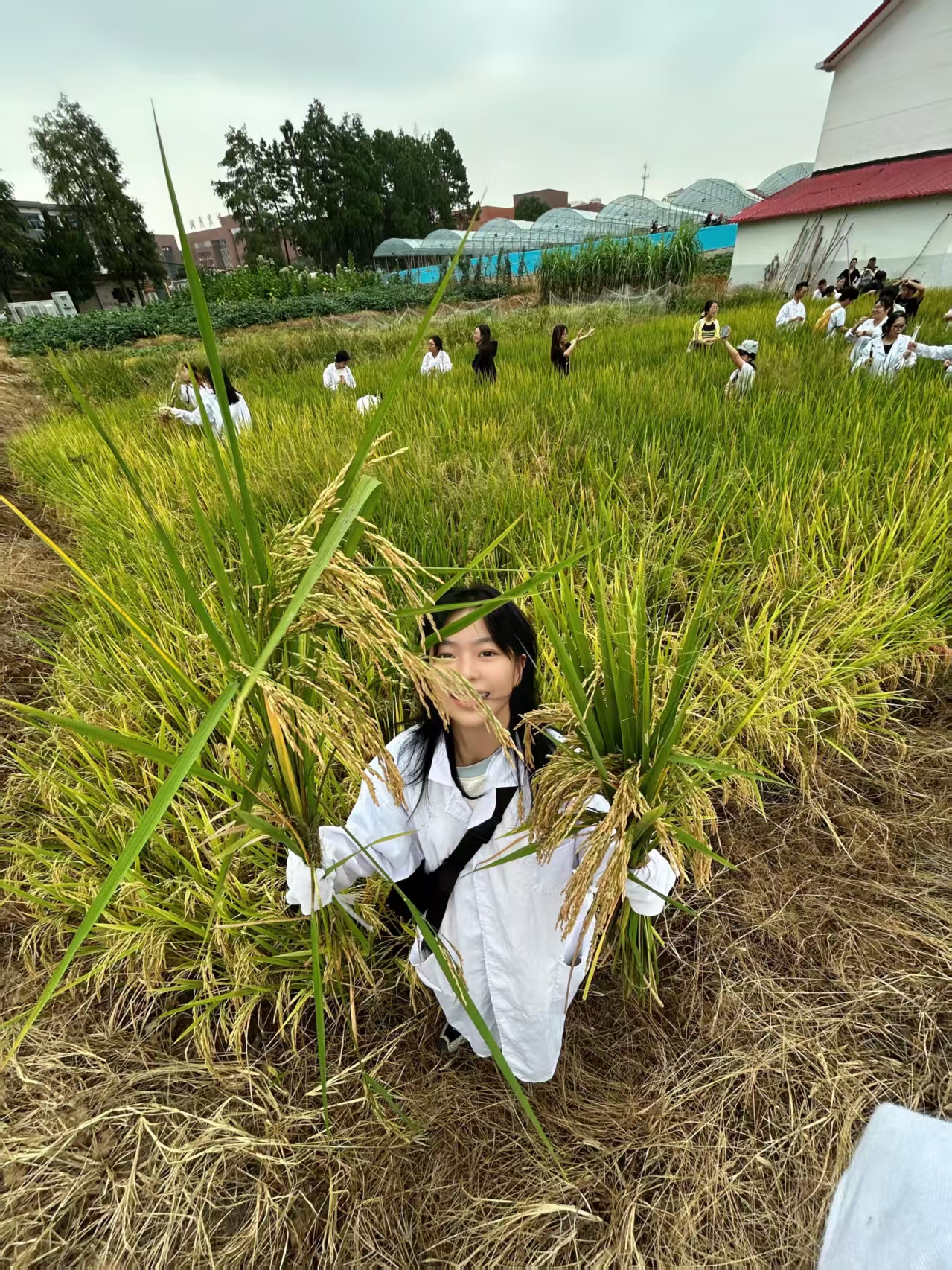 微信图片_20260317184859_493_144.jpg bevictor伟德官网