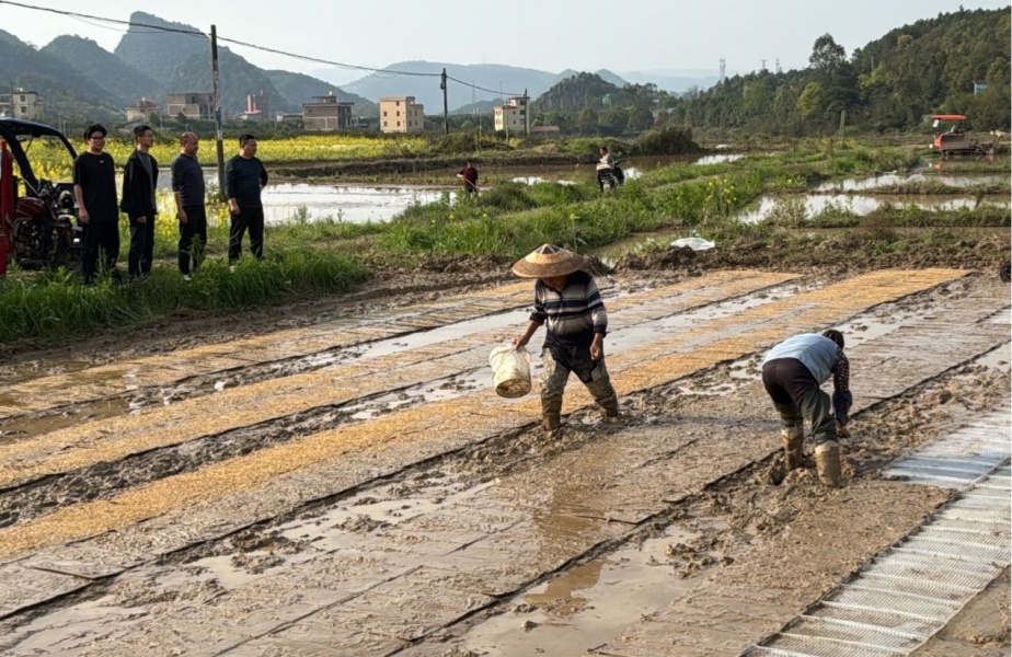 1.jpg bevictor伟德官网