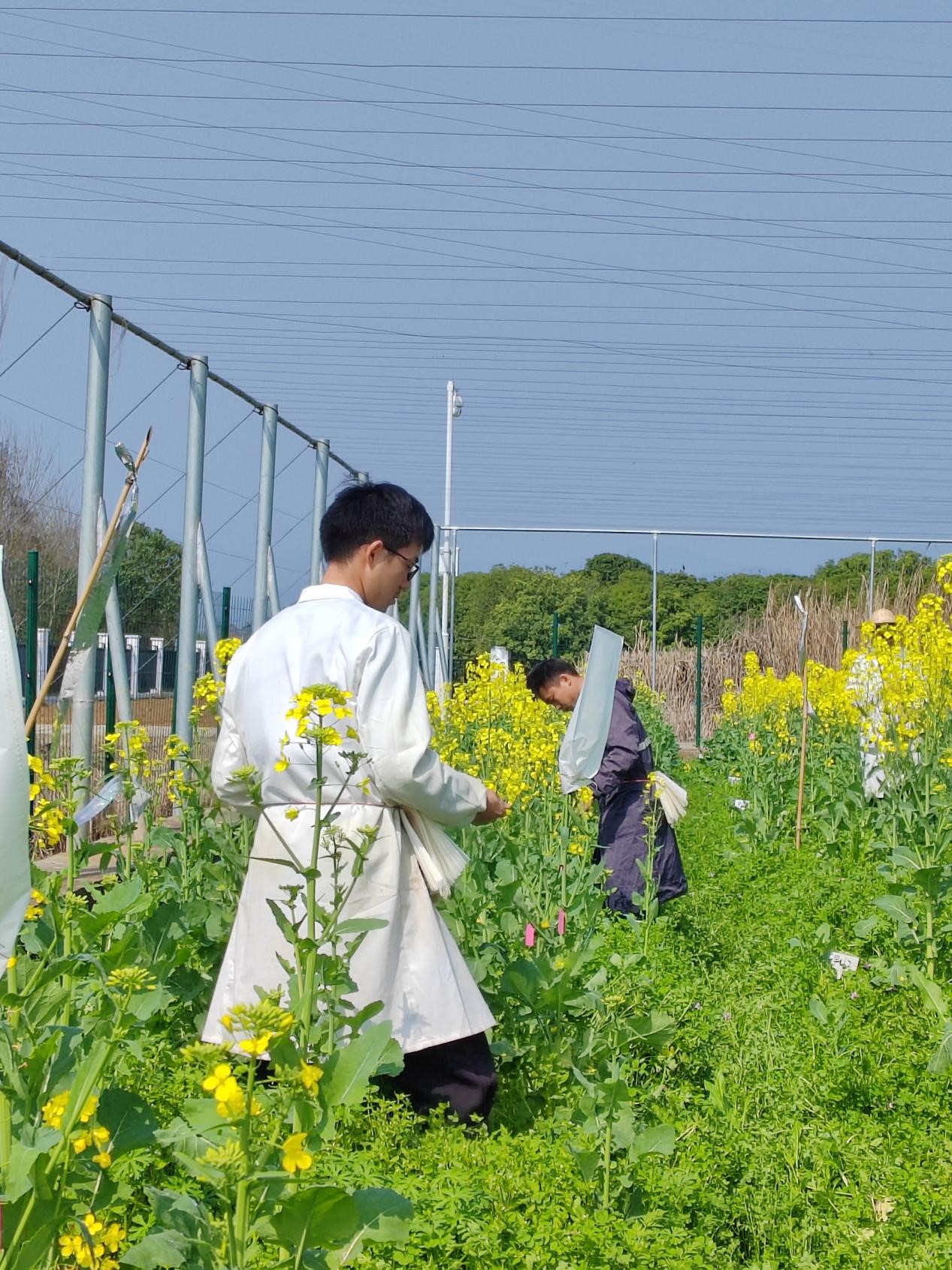 3.jpg bevictor伟德官网