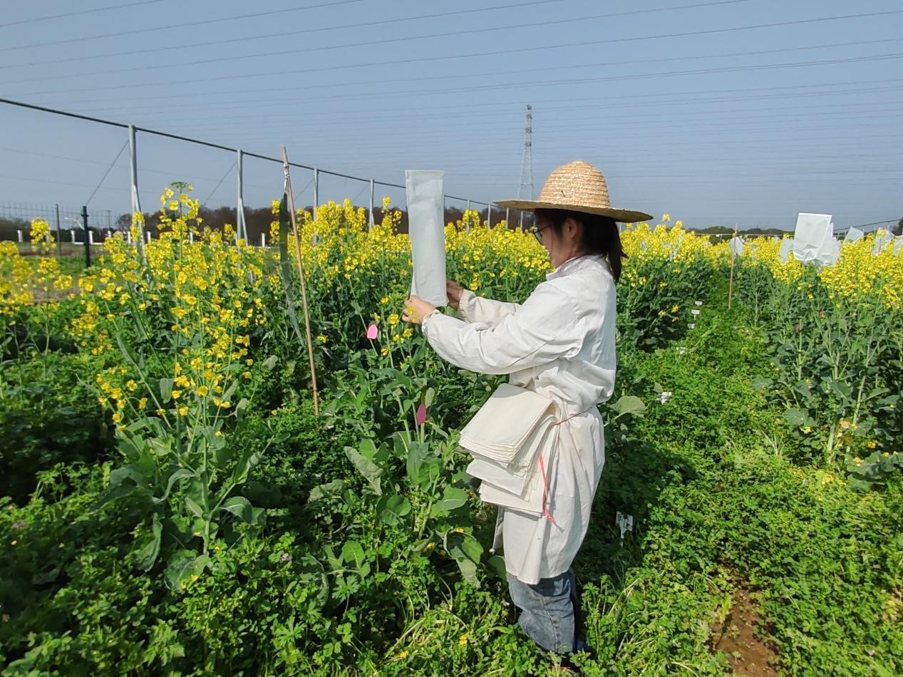 4.jpg bevictor伟德官网