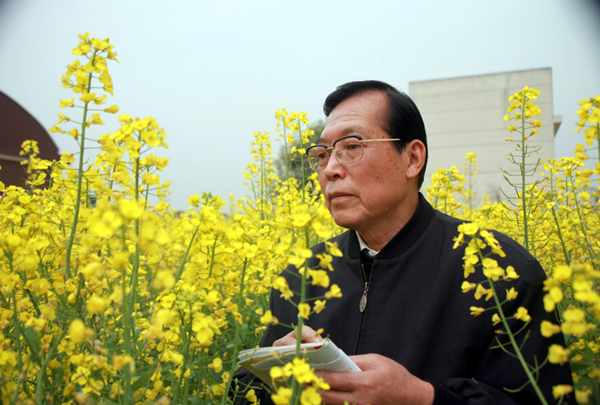 bevictor伟德官网