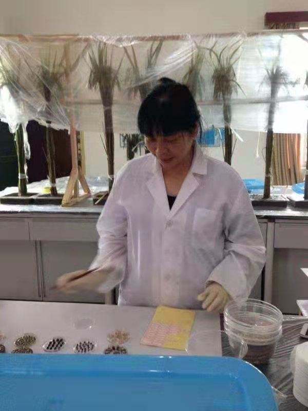 bevictor伟德官网